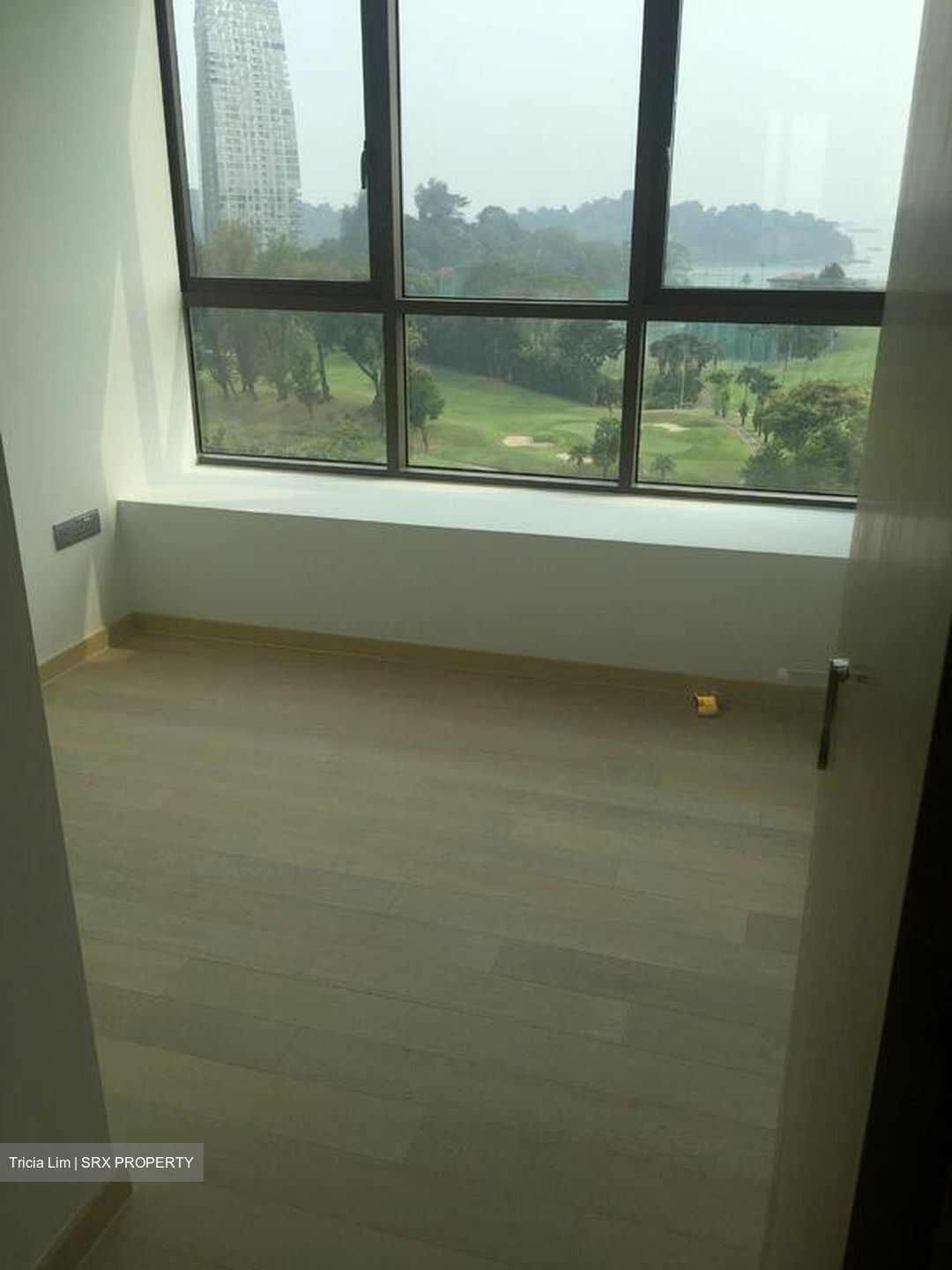 Skyline Residences (D4), Condominium #519024111
